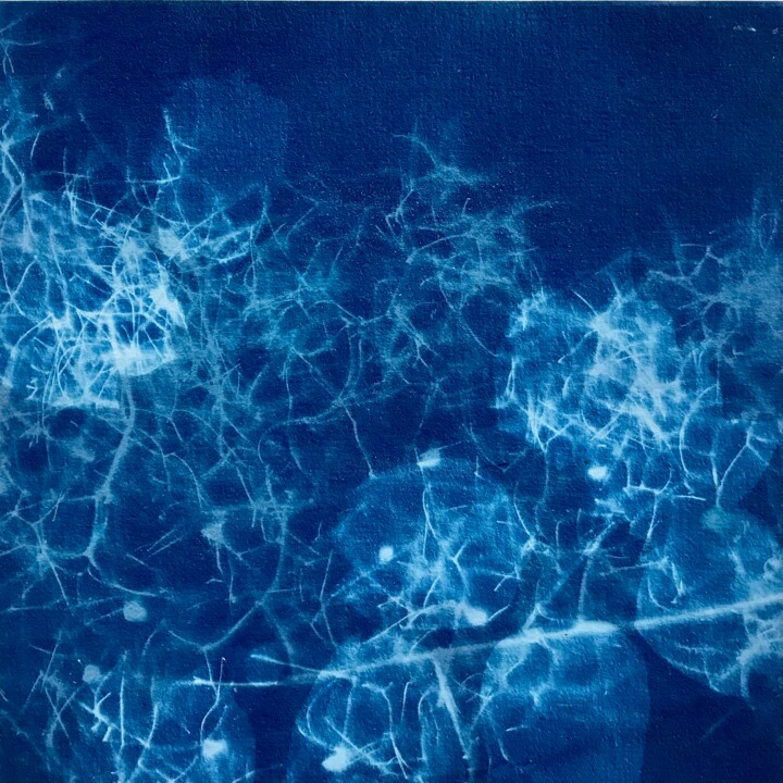 Cyanotype_4_23