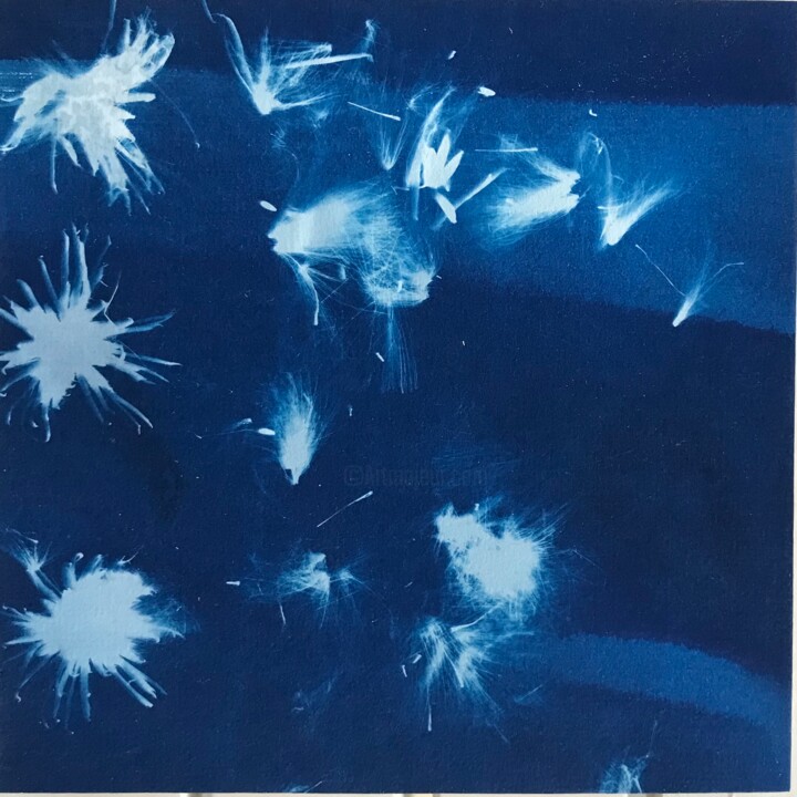 Cyanotype_7_23