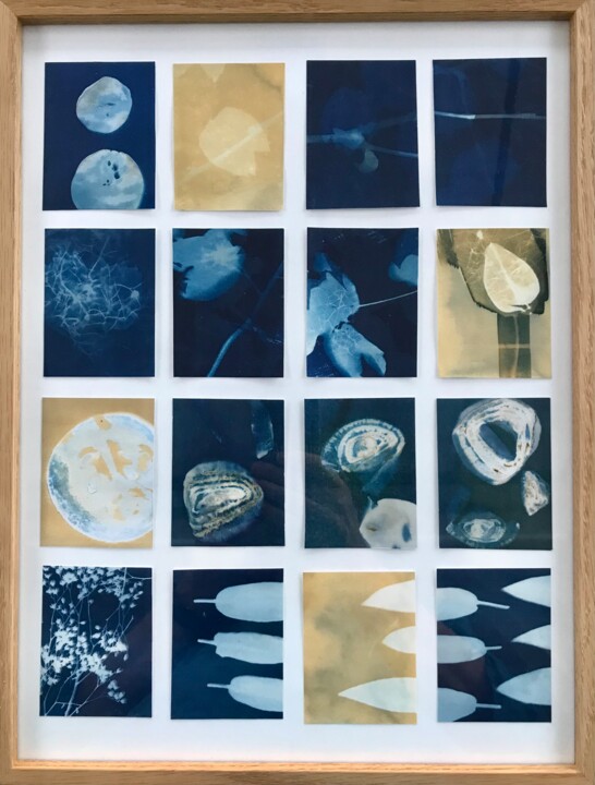 Cyanotype_10_23