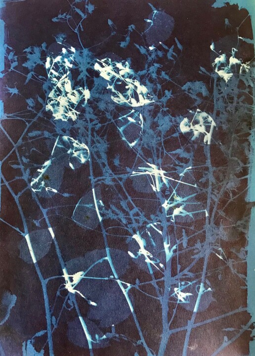 Cyanotype_11_23